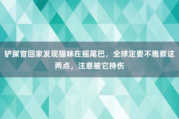 铲屎官回家发现猫咪在摇尾巴，全球定要不雅察这两点，注意被它持伤