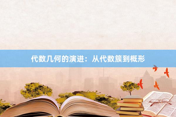 代数几何的演进：从代数簇到概形