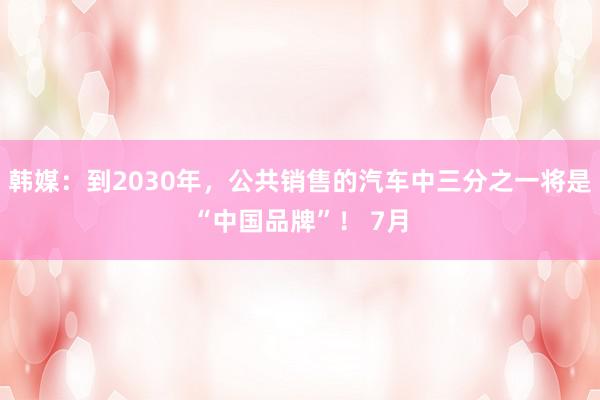 韩媒：到2030年，公共销售的汽车中三分之一将是“中国品牌”！ 7月