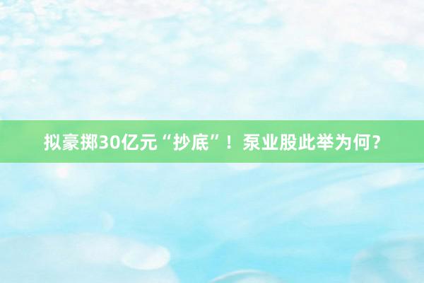 拟豪掷30亿元“抄底”！泵业股此举为何？