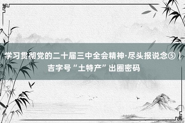 学习贯彻党的二十届三中全会精神·尽头报说念⑤｜ 吉字号“土特产”出圈密码