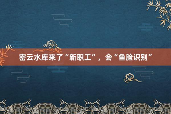 密云水库来了“新职工”，会“鱼脸识别”