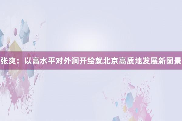 张爽：以高水平对外洞开绘就北京高质地发展新图景