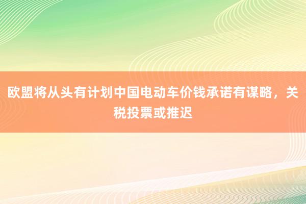 欧盟将从头有计划中国电动车价钱承诺有谋略，关税投票或推迟